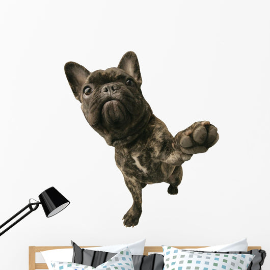 Dog With Paw Raised Wall Decal