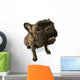 Black Dog Wall Decal
