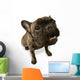 Black Dog Wall Decal
