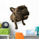 Black Dog Wall Decal