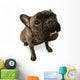Black Dog Wall Decal