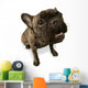 Black Dog Wall Decal