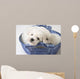 Cute White Pups Wall Mural