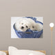 Cute White Pups Wall Mural