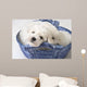 Cute White Pups Wall Mural