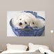 Cute White Pups Wall Mural