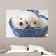 Cute White Pups Wall Mural