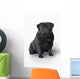 Pug Dog Wall Decal
