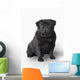 Pug Dog Wall Decal