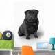 Pug Dog Wall Decal