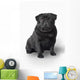 Pug Dog Wall Decal