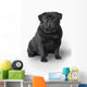 Pug Dog Wall Decal