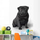 Pug Dog Wall Decal