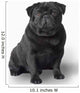 Pug Dog Wall Decal