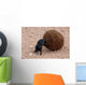 Dung Beetle Wall Mural
