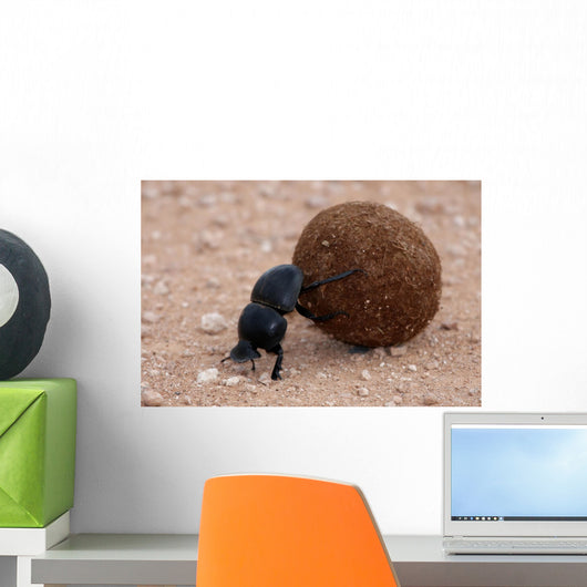 Dung Beetle Wall Mural