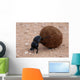 Dung Beetle Wall Mural