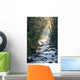 Smoky Mountains river in fall Wall Mural