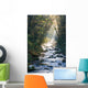 Smoky Mountains river in fall Wall Mural