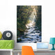 Smoky Mountains river in fall Wall Mural