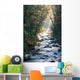 Smoky Mountains river in fall Wall Mural