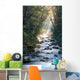 Smoky Mountains river in fall Wall Mural