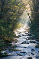 Smoky Mountains river in fall Wall Mural