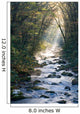 Smoky Mountains river in fall Wall Mural