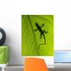 Gecko Silhouette Wall Mural