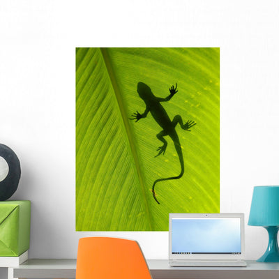 Gecko Silhouette Wall Mural shown on a wall
