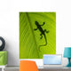 Gecko Silhouette Wall Mural