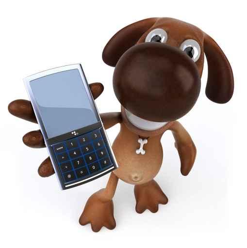 Dog and cellphone Wall Decal