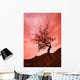 Silhouette Of Shrub Tree Wall Mural