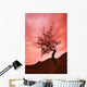 Silhouette Of Shrub Tree Wall Mural