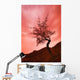 Silhouette Of Shrub Tree Wall Mural