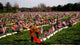 Veterans' Cemetery Wall Decal
