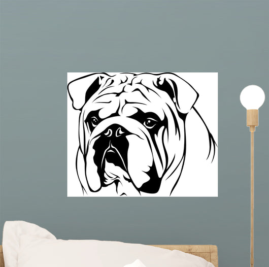 English Bulldog Portrait