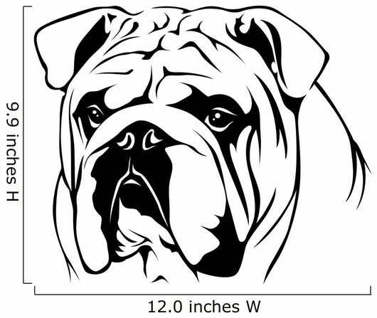 English Bulldog Portrait
