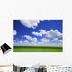 White Clouds In The Sky And Green Meadow Wall Mural