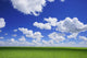 White Clouds In The Sky And Green Meadow Wall Mural