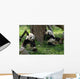 Giant Pandas in a Field Wall Mural