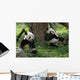 Giant Pandas in a Field Wall Mural