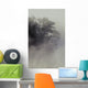 Tree Shrouded In Fog Wall Mural