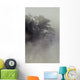 Tree Shrouded In Fog Wall Mural