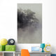 Tree Shrouded In Fog Wall Mural