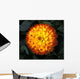 A Chrysanthemum Bloom Wall Mural