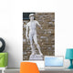 Michelangelo's David # 3 Wall Mural