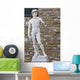 Michelangelo's David # 3 Wall Mural