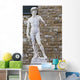 Michelangelo's David # 3 Wall Mural