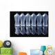 Six Glass Bottles Wall Mural